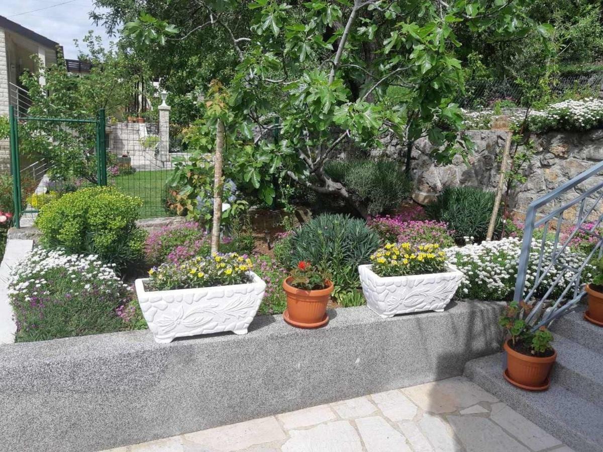 Apartment Duba Senj  Ngoại thất bức ảnh