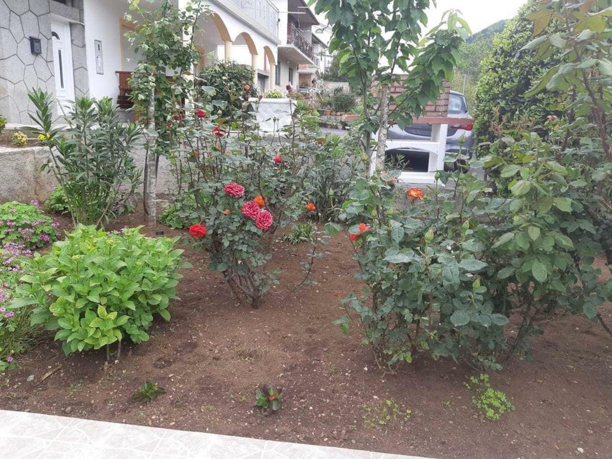 Apartment Duba Senj  Ngoại thất bức ảnh
